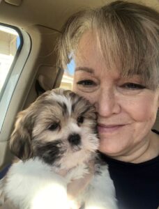 shih tzu pets home