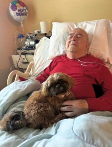 ShihTzu Pets Home