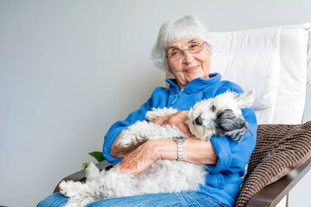 Happy senior woman hugging her havanese pet dog at home