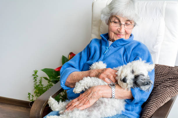Happy senior woman hugging her havanese pet dog at home
