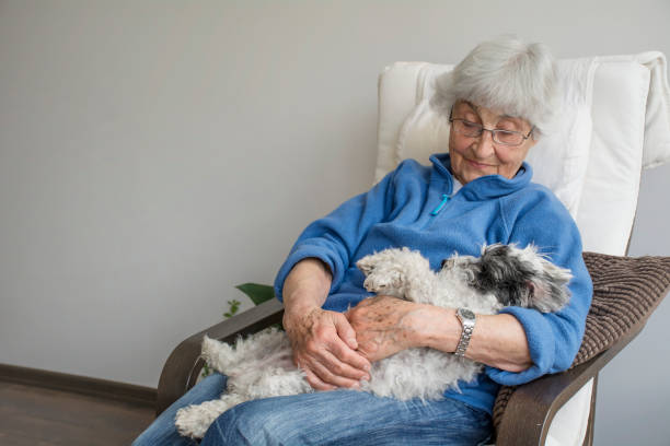 Happy senior woman hugging her havanese pet dog at home