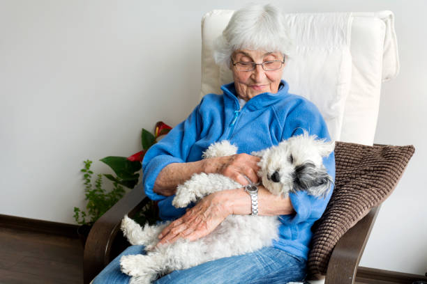Happy senior woman hugging her havanese pet dog at home